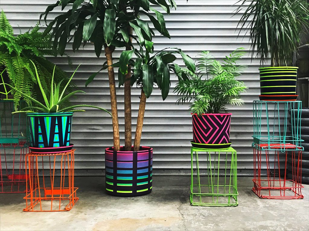 Rave Plant Pots