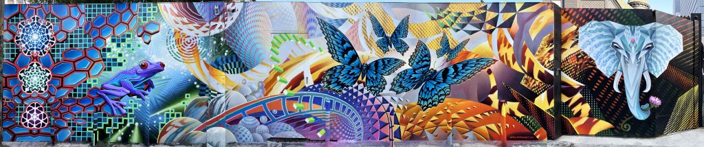 Xavidose - Microdose VR Collaboration